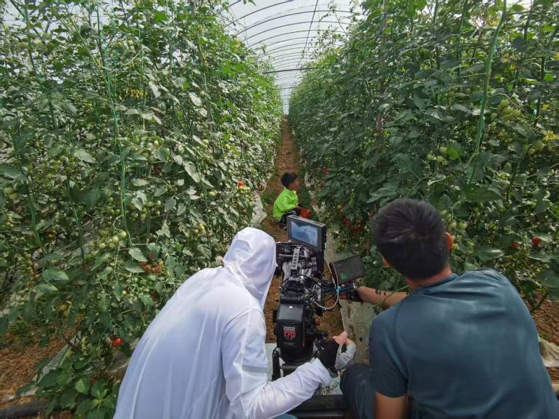 喀什产品宣传视频拍摄公司进阶指南，助力品牌抢占传播高地